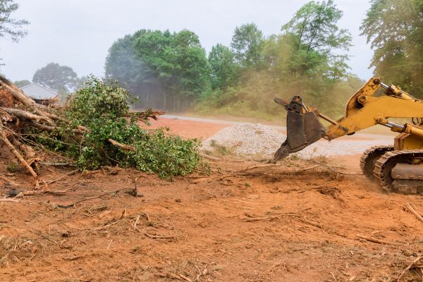 Ground Clearing in Monroe Township