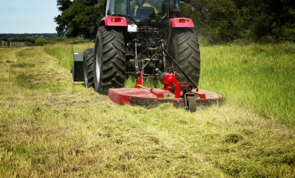Brush Clearing Service in Monroe Township