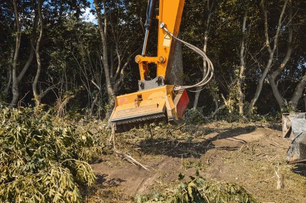 Brush Removal Service in Monroe Township