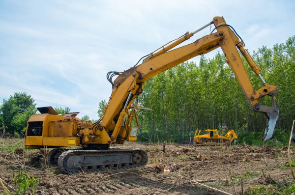 Farm Clearing in Monroe Township
