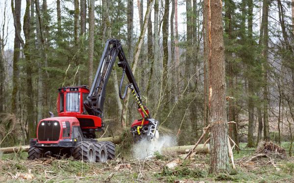 Forest Clearance Service in Monroe Township