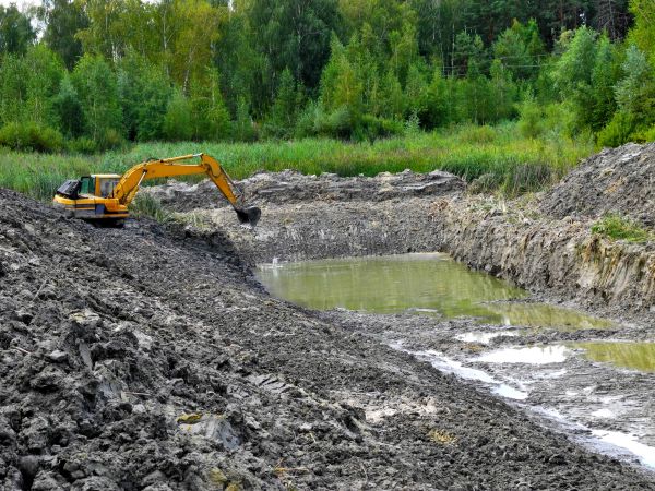 Lake Lot Clearing in Monroe Township