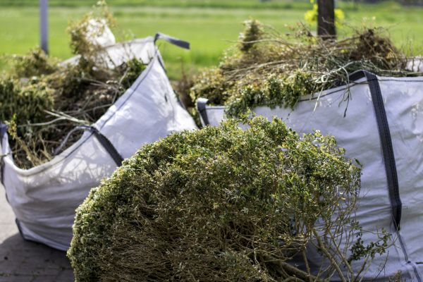 Bushes Clearing in Monroe Township
