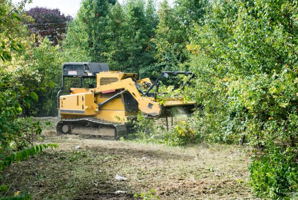Pathway Clearing in Monroe Township