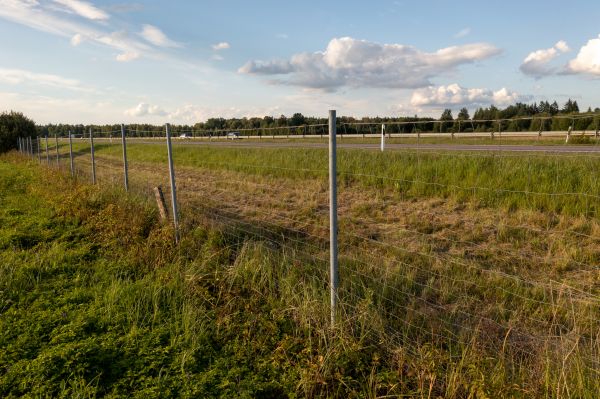 Property Line Clearing in Monroe Township
