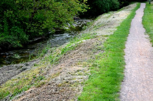 Trail Cutting in Monroe Township